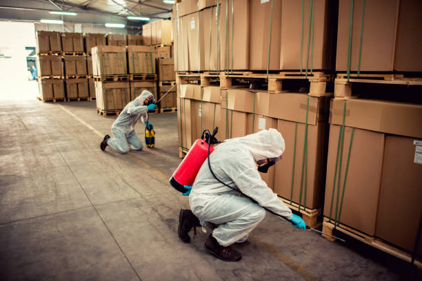 Best Local Pest Control Services  in Box Elder, SD