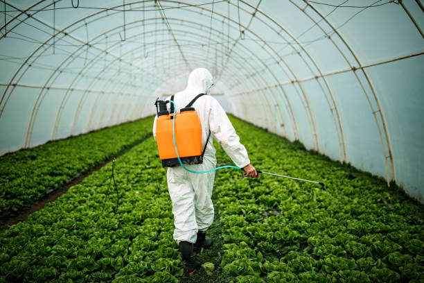 Best Best Pest Control Companies  in Box Elder, SD