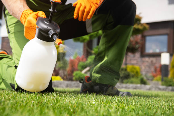 Best Pest Removal Services  in Box Elder, SD