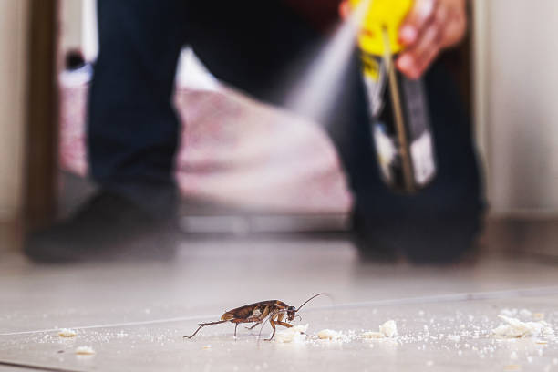 Wildlife Control Services in Box Elder, SD
